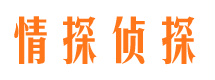 孙吴侦探社